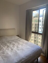Charleston (D10), Apartment #300822951